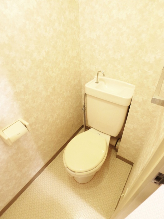 SUNCITY HIKOTA C-1のトイレ写真