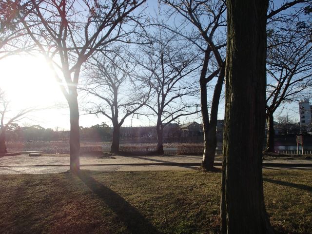 その他　螺貝公園（その他）まで240m