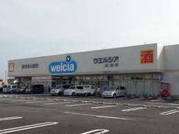 ドラックストア　ウエルシア加須久下店（ドラッグストア）まで1042m