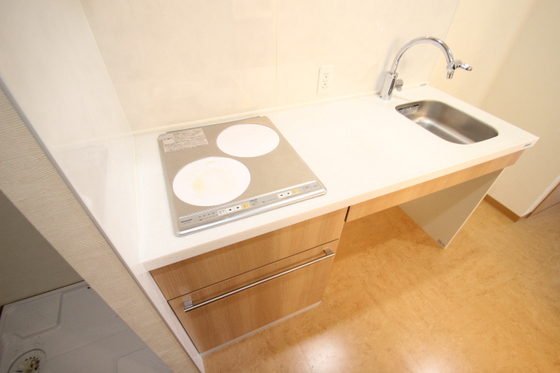 キッチン　※別号室の写真です。