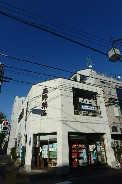 ドラックストア　合資会社玉野薬局（ドラッグストア）まで965m