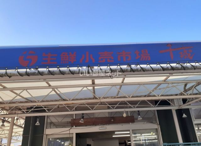 スーパー　生鮮小売市場千城小倉台店（スーパー）まで1126m