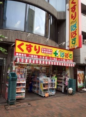 ドラックストア　どらっぐぱぱす広尾店（ドラッグストア）まで680m