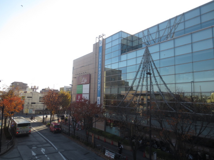 スーパー　ライフ（スーパー）まで310m