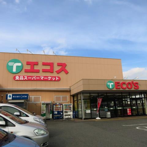 その他　エコス（その他）まで1100m