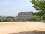 中学校　泉佐野市立新池中学校（中学校）まで2374m