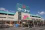 ホームセンター　ホームセンターコーナン 布施駅前店（ホームセンター）まで733m