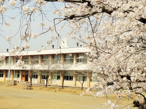 小学校　常総市立豊岡小学校（小学校）まで1508m