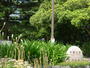 公園　千葉公園（公園）まで850m