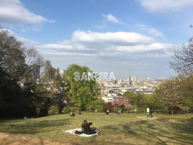 公園　日吉公園（公園）まで1027m