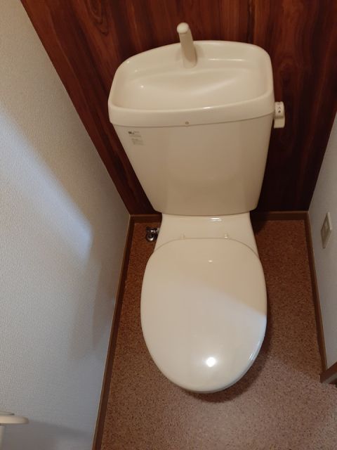 スプリング ウィンドのトイレ写真