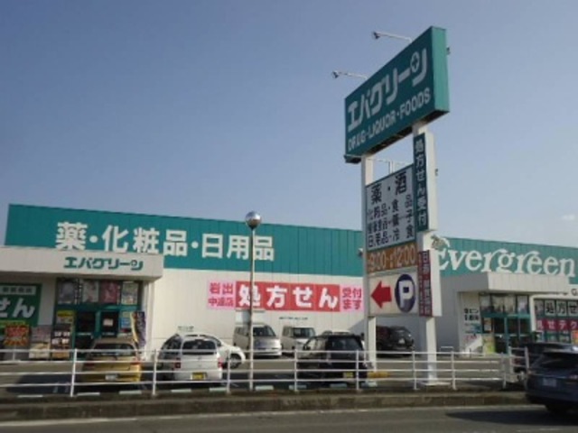ドラックストア　エバグリーン岩出中迫店（ドラッグストア）まで1216m