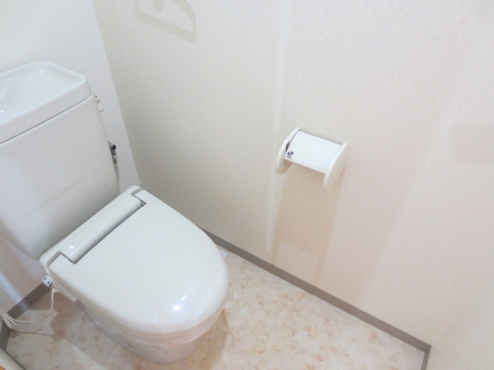 カーサビアンカ東岡崎のトイレ写真