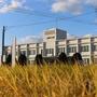 大学・短大　神戸大学大学院農学研究科　附属食資源教育研究センター（大学・短大）まで8996m