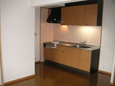 キッチン　写真は別号室です。