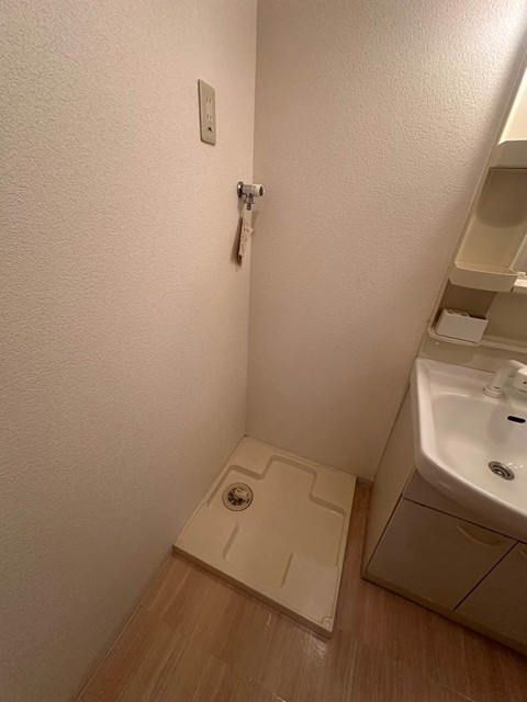 眺望　※参考写真※洗面所内、洗髪洗面化粧台横にある室内洗濯機置き場