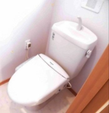 トイレ　※同仕様写真含む