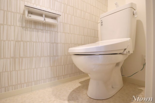 トイレ　トイレも気になるポイント