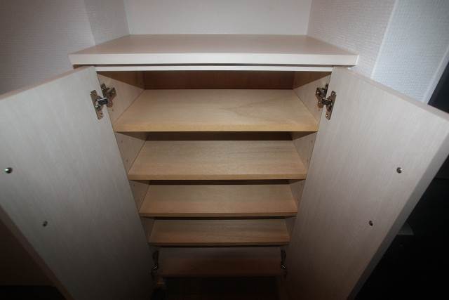 玄関　一人暮らしにはちょうど良いサイズです