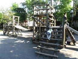 公園　小岩公園（公園）まで310m