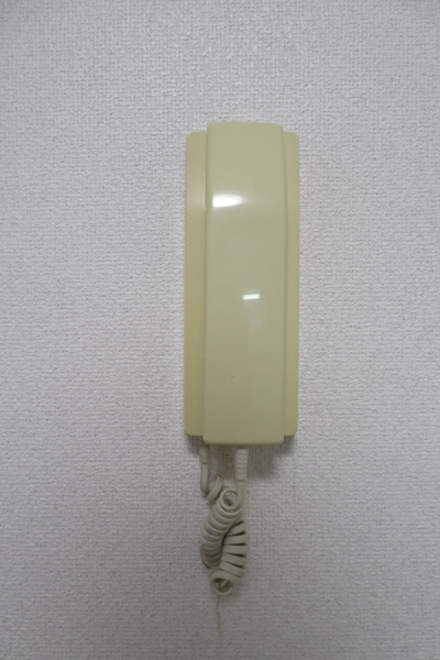 セキュリティ　インターホン付