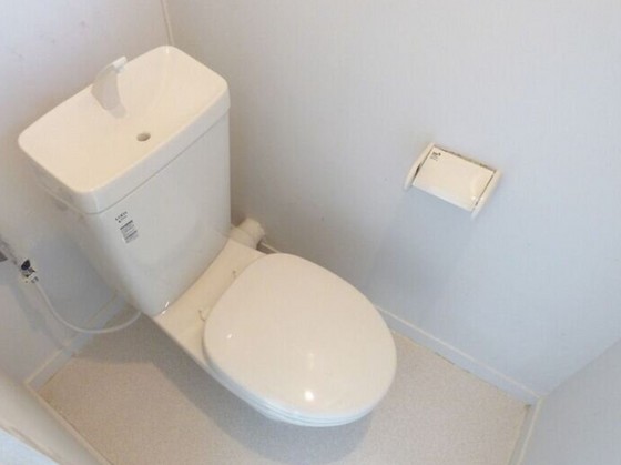トイレ　※他号室の写真です