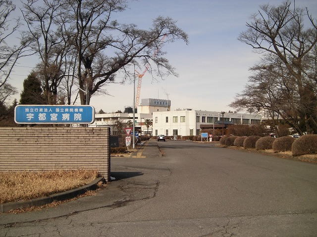 病院　国立宇都宮病院（病院）まで1300m