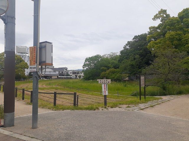 公園　津堂児童遊園（公園）まで35m