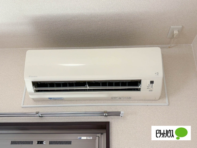アンバーIIのその他写真