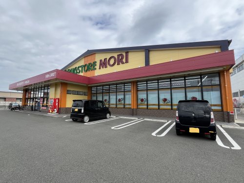 ドラックストア　ドラッグストアモリ 八代松江店（ドラッグストア）まで572m