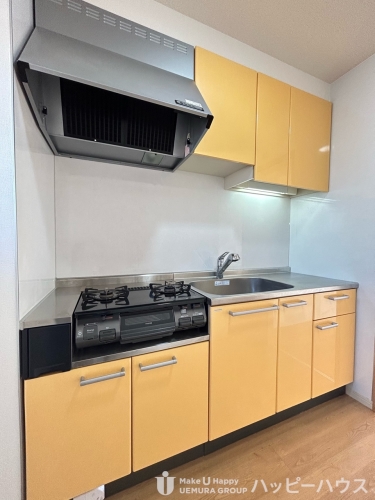 キッチン　同物件・別部屋のお写真になります。ガスコンロはありません。（