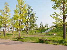 公園　世田谷区立二子玉川公園（公園）まで185m