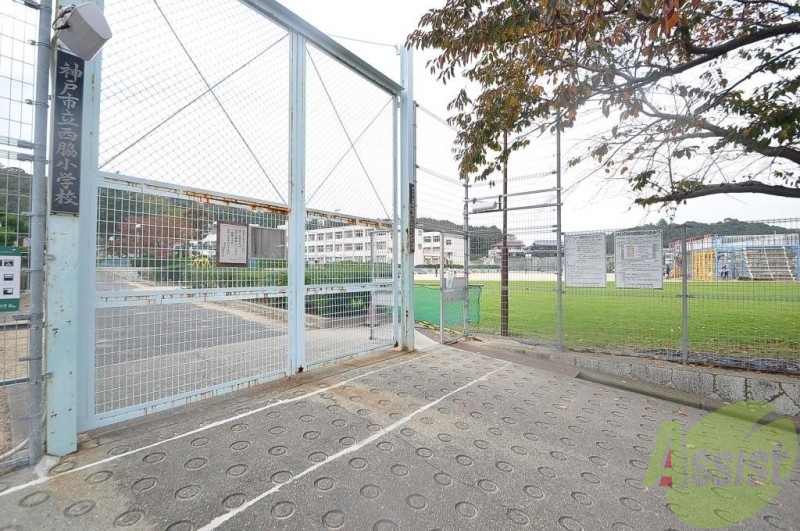 小学校　神戸市立西脇小学校（小学校）まで382m