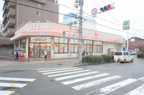 ドラックストア　ドラッグセガミ 内代店（ドラッグストア）まで244m
