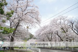 公園　根岸交通公園（公園）まで194m