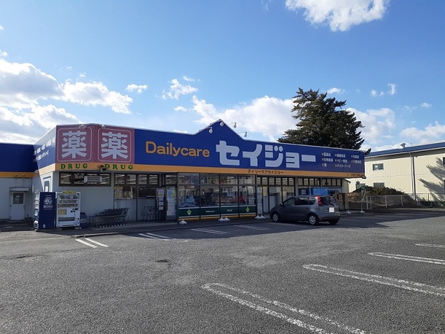 ドラックストア　セイジョー　大宮七里店（ドラッグストア）まで800m