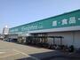 スーパー　エバグリーンプラス広瀬店様（スーパー）まで290m