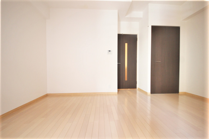 ラナップスクエア難波南の居間写真