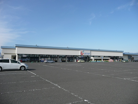 ドラックストア　カワチ薬品富田店（ドラッグストア）まで1100m