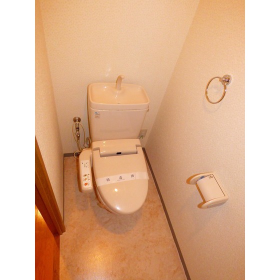 トイレ　画像反転・現状優先