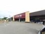 ホームセンター　DCM多賀城東店（ホームセンター）まで800m