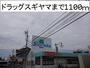 ドラックストア　ドラッグスギヤマ（ドラッグストア）まで1100m