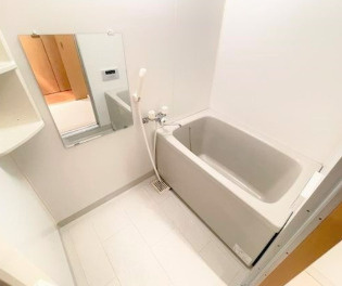 バス・シャワールーム　※写真は同じマンションの違う部屋のものになります。