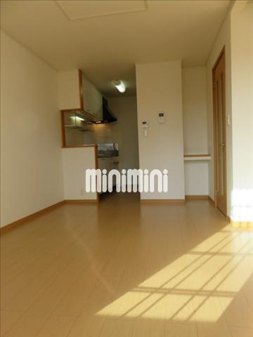 居室・リビング　南向きのお部屋です