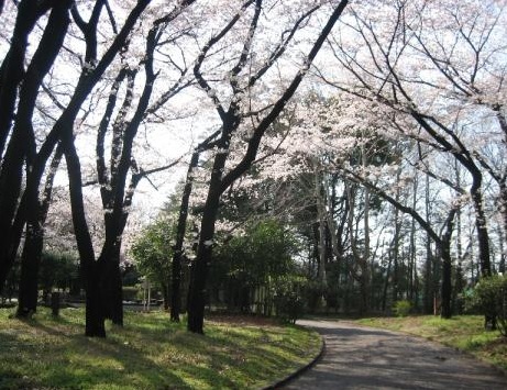 【ｃｒｏｓｔｏｎｅ西巣鴨の公園】