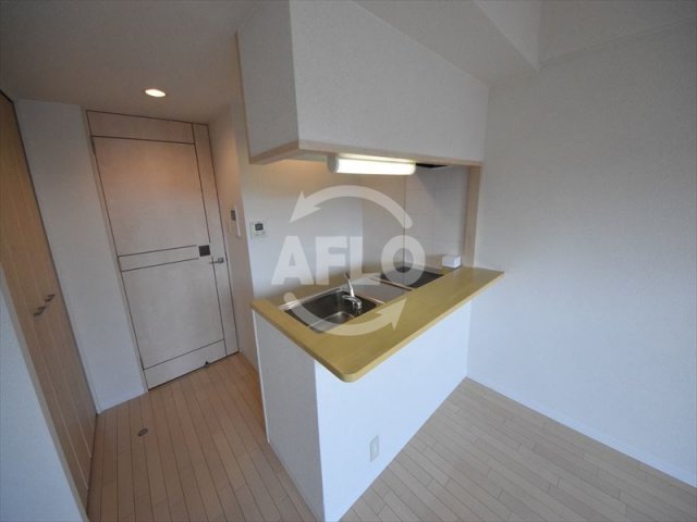 キッチン　エス・キュート上本町イースト　2口ＩＨシステムカウンターキッ