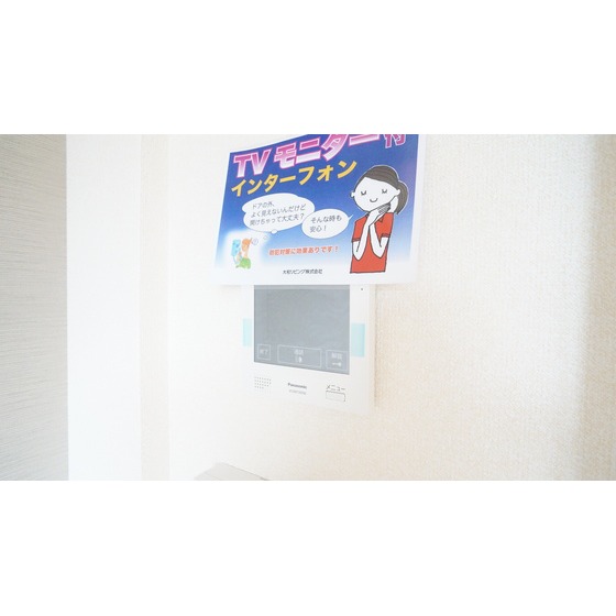 セキュリティ　同仕様タイプ
