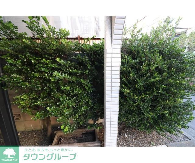 庭