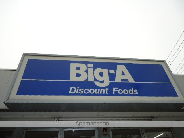 その他　ビッグ・エー戸ヶ崎店（その他）まで1864m