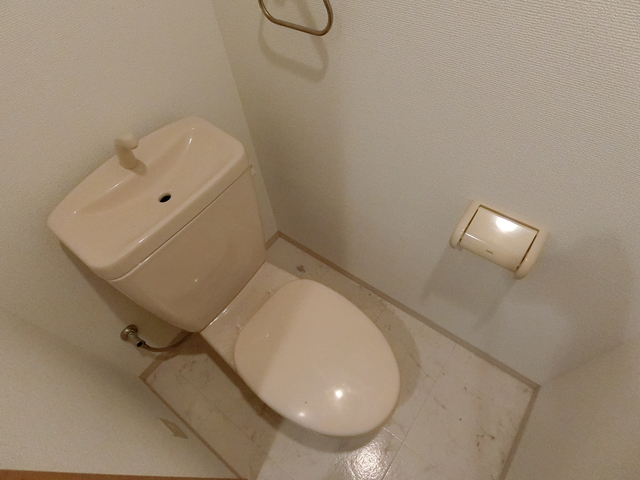 リバーサイド安藤2のトイレ写真